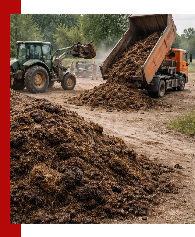 Доставка навоза самосвалами в Твери для сельхозпотребностей