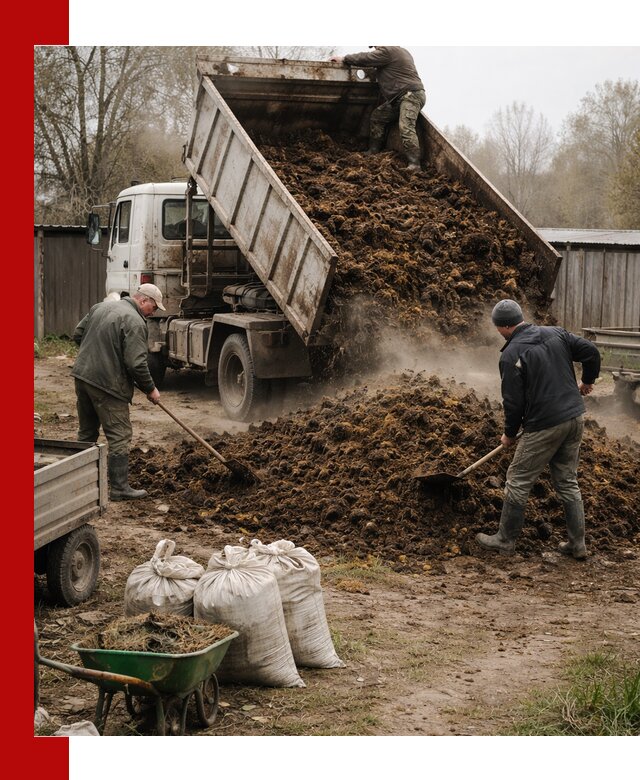Доставка коровьего навоза самосвалом в Твери
